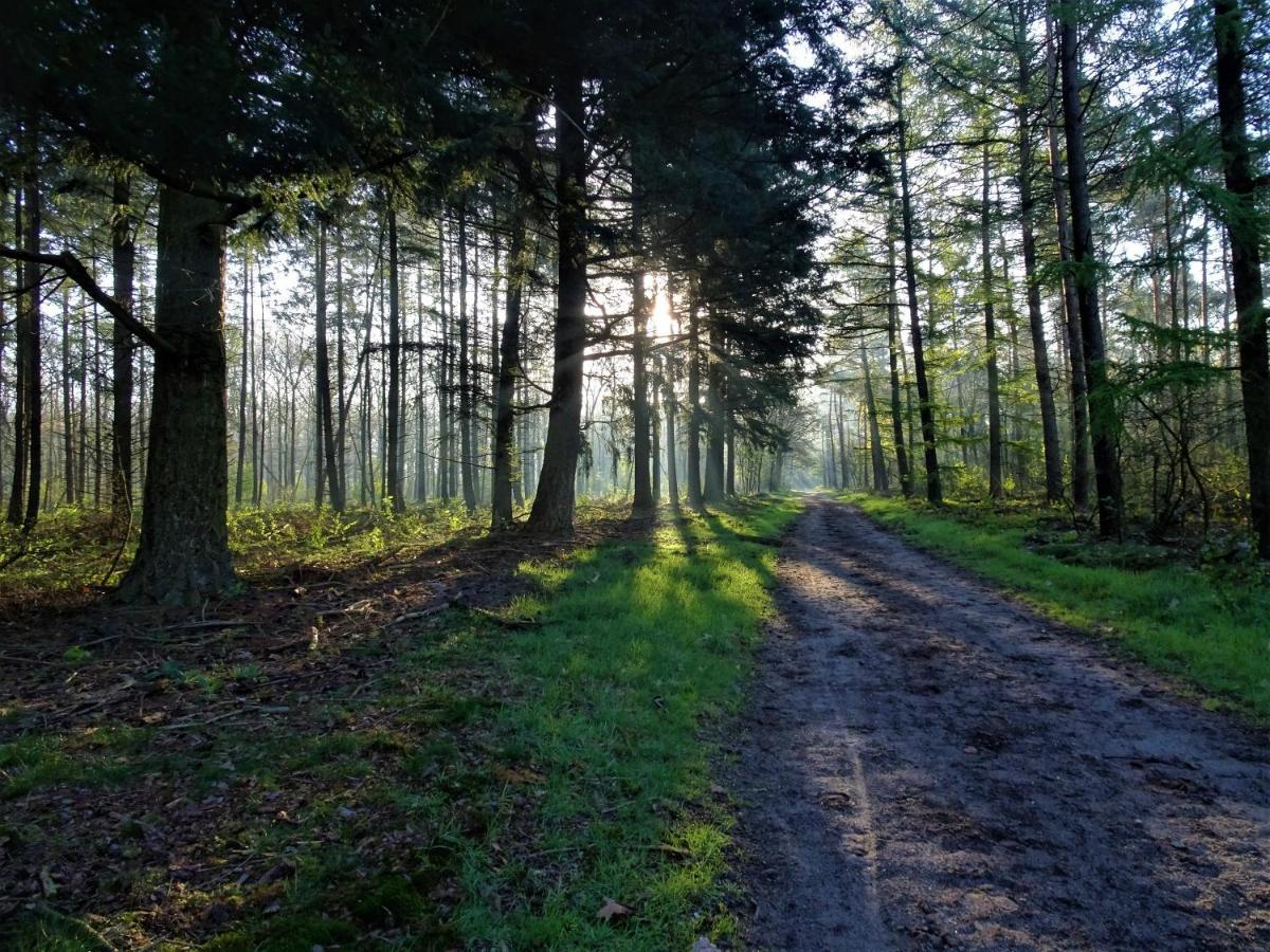 Veluwe Park Reewold Chalet Talisman Putten Exteriér fotografie