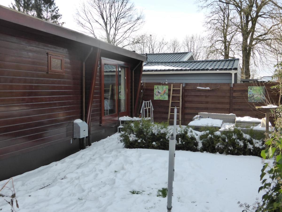 Veluwe Park Reewold Chalet Talisman Putten Exteriér fotografie